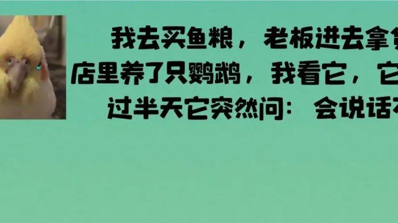 自制火锅底料熬制完成后，调味技巧揭秘**