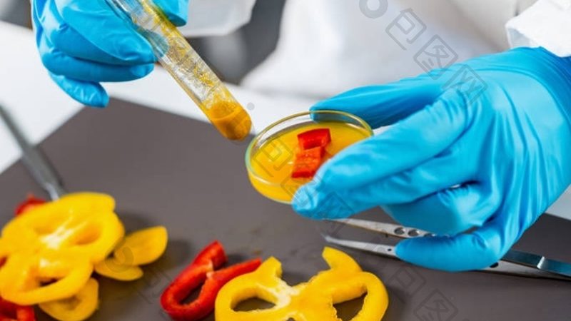 食品招商合同：规范条款与注意事项解析